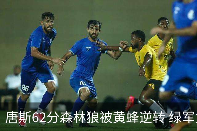 唐斯62分森林狼被黄蜂逆转 绿军力克独行侠