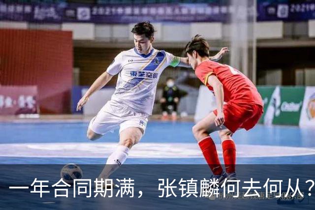 一年合同期满，张镇麟何去何从？两条路可走，看上海诚意如何了