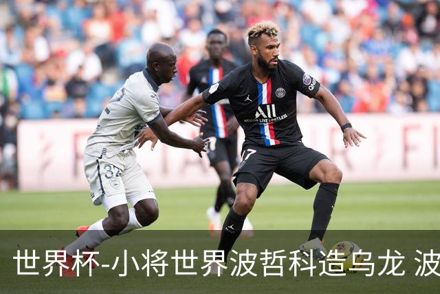 世界杯-小将世界波哲科造乌龙 波黑半场暂2-1卡塔尔