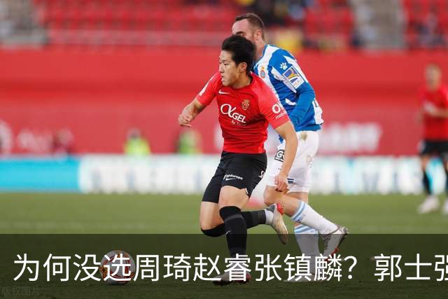 为何没选周琦赵睿张镇麟？郭士强说得很直白，太务实了，好样的！