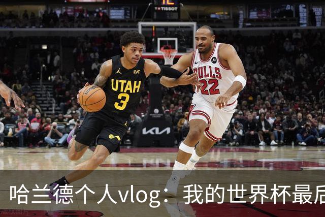 哈兰德个人vlog：我的世界杯最后24小时