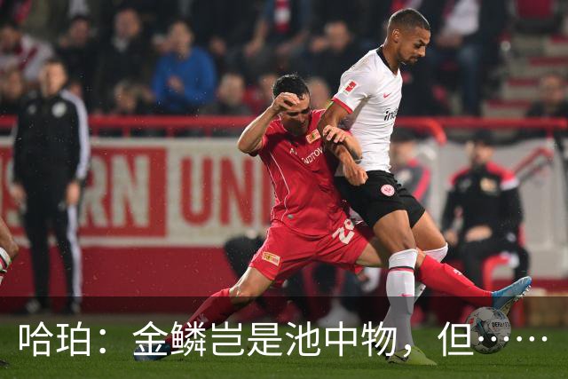 哈珀：金鳞岂是池中物，但……