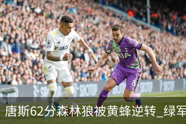 唐斯62分森林狼被黄蜂逆转 绿军力克独行侠