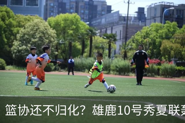 篮协还不归化？雄鹿10号秀夏联轰26分：我母亲有中国血统